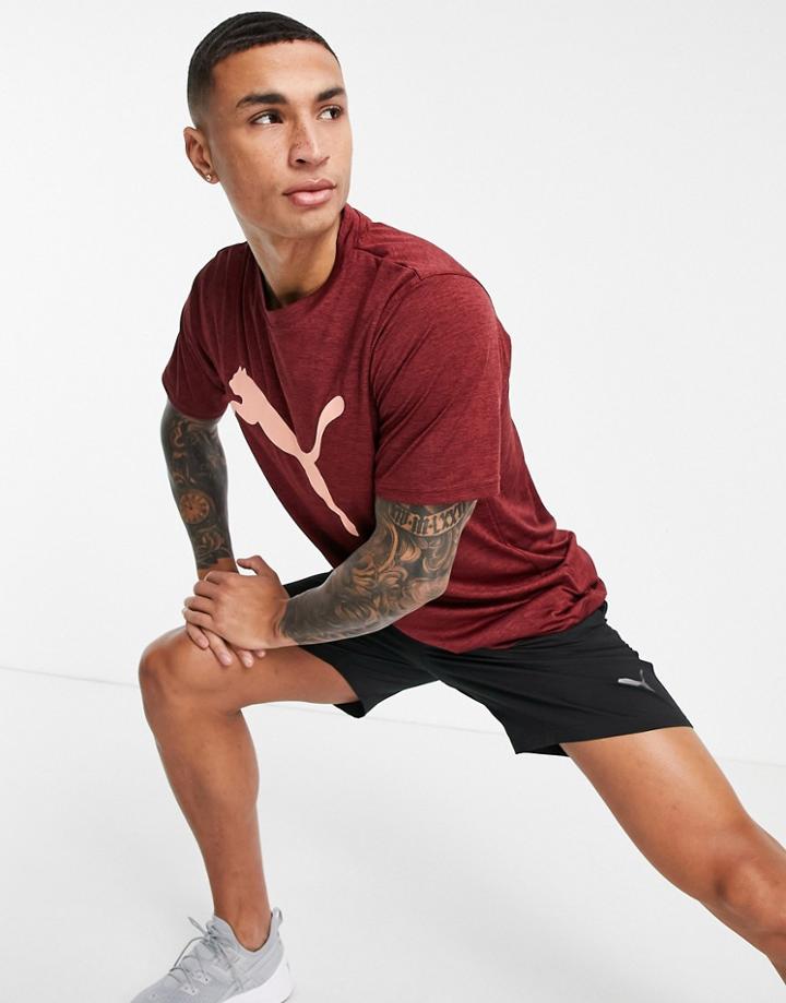 Puma Training Favorite T-shirt In Red