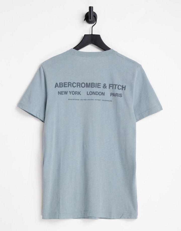 Abercrombie & Fitch Back City Logo Print T-shirt In Light Blue