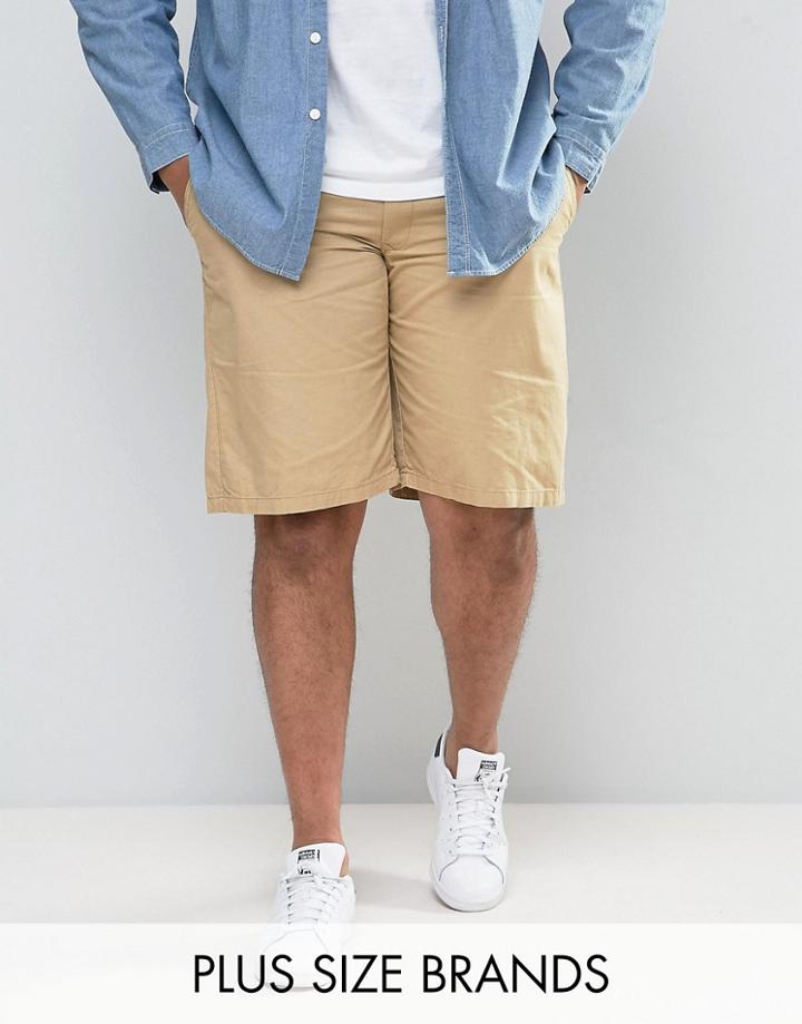 Loyalty And Faith Plus Chino Shorts - Stone