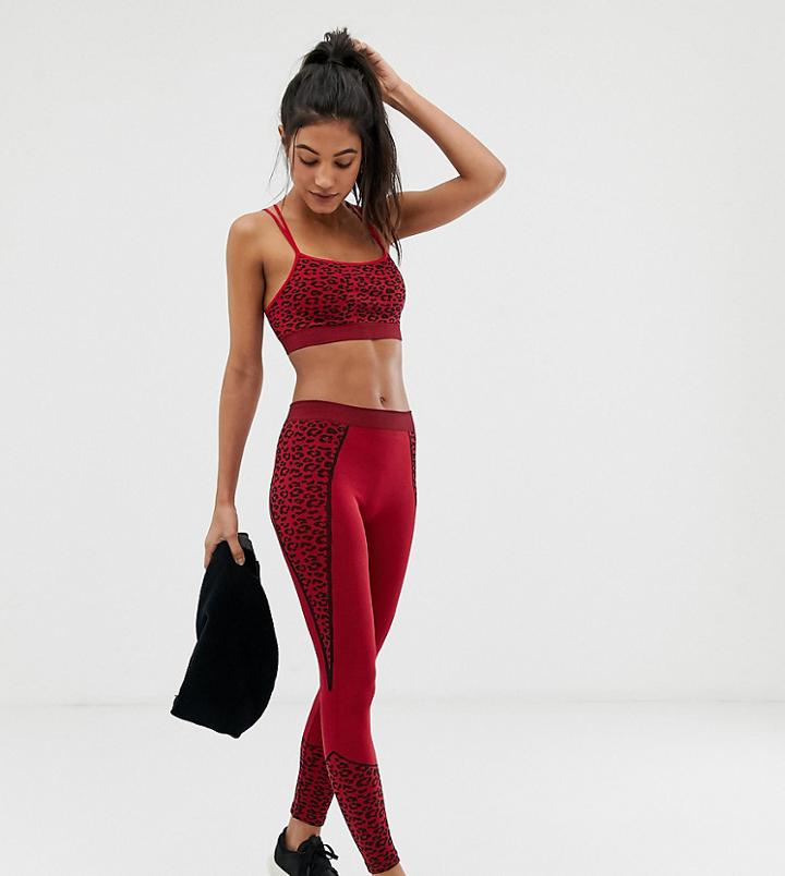 South Beach Seamless Red Leopard Leggings - Red
