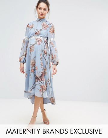 Hope & Ivy Maternity Bird Print Lace Insert Midi Dress - Blue