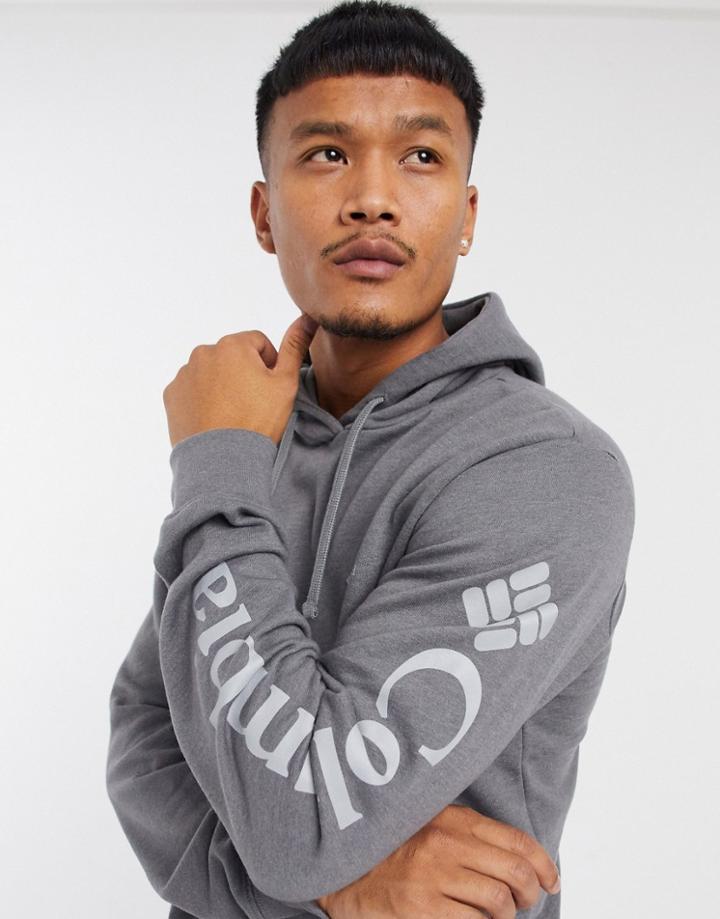 Columbia Viewmount Ii Graphic Hoodie In Gray-grey