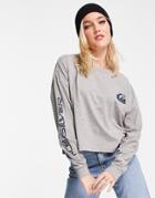Quiksilver Oversized Cropped Long Sleeve T-shirt In Gray