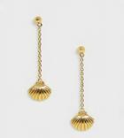 Orelia Gold Plated Shell Drop Earrings - Gold