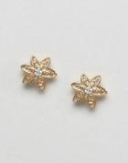 Orelia Gold Plated Crystal Flower Stud Earrings - Gold