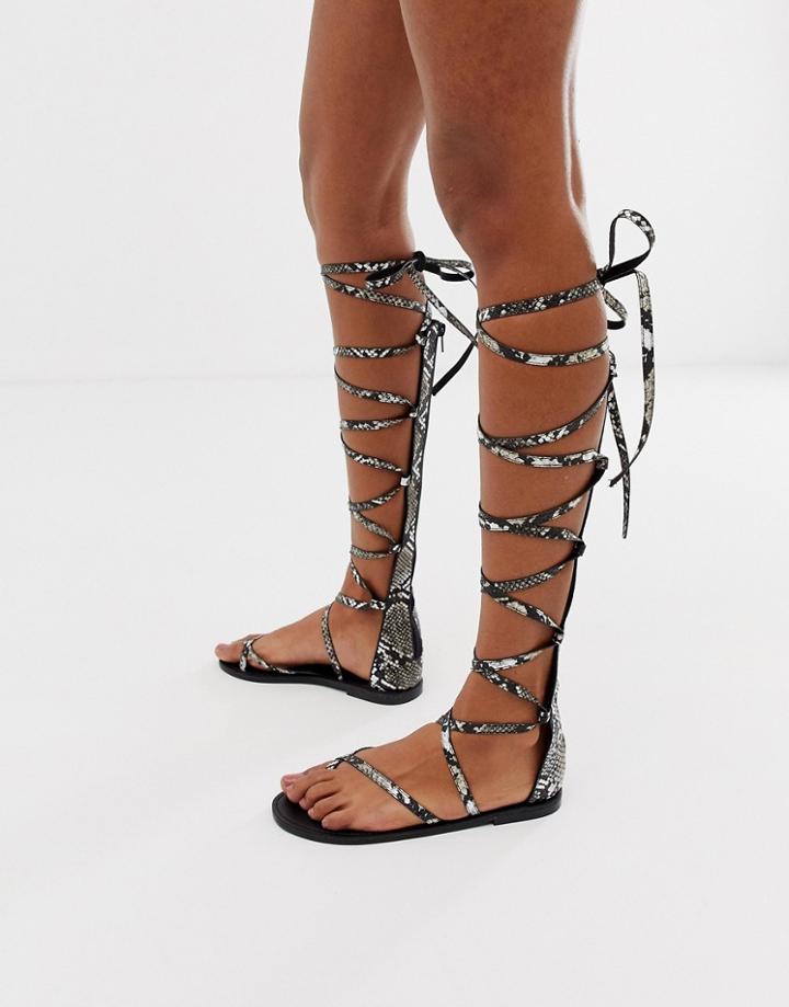 Asos Design Fireworks Knee High Gladiator Flat Sandals In Snake Print - Multi