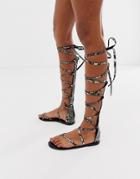 Asos Design Fireworks Knee High Gladiator Flat Sandals In Snake Print - Multi