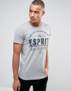Esprit Crew Neck Slim Fit T-shirt With Retro Americana Print In Gray M