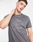 The North Face Natural Wonders T-shirt In Gray-grey