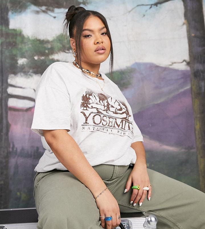 Asos Design Curve T-shirt With National Park Graphic In Ice Heather-grey