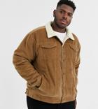 Le Breve Plus Borg Cord Jacket In Brown