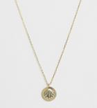 Orelia Gold Plated Sunkissed Shell Pendant Necklace