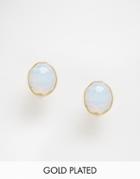 Taara Jewelry 22k Gold Plated Earrings - 46
