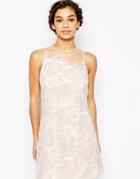 Little Mistress Petite Scallop Lace Shift Dress - Pink