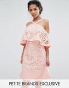 Jarlo Petite Cold Shoulder Cutwork Lace Mini Dress - Pink