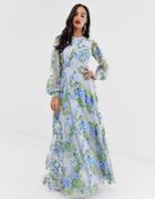 Asos Edition Embroidered Maxi Dress With Open Back-blue