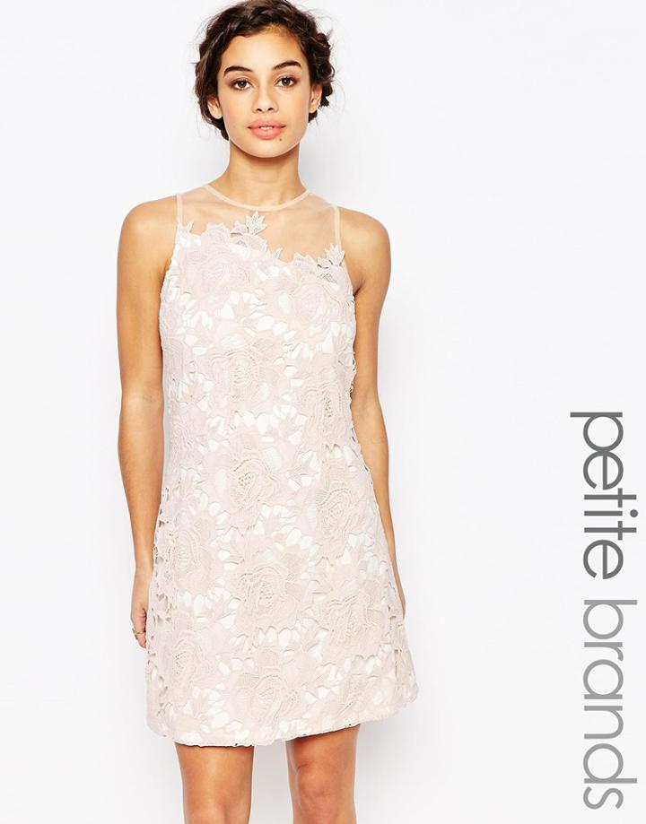 Little Mistress Petite Scallop Lace Shift Dress - Nude