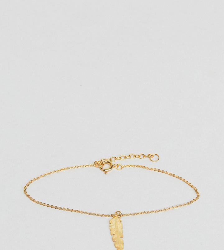 Asos Gold Plated Sterling Silver Feather Charm Bracelet - Gold