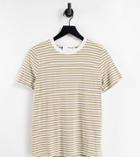 Selected Femme Exclusive Cotton T-shirt In Stripe-multi