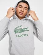 Lacoste Smashed Croc Overhead Hoodie In Gray