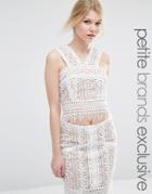 True Decadence Petite Co-ord Premium Lace Overlay Crop Top - Multi