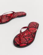Asos Design Fantom Flip Flops In Red Snake Print - Red