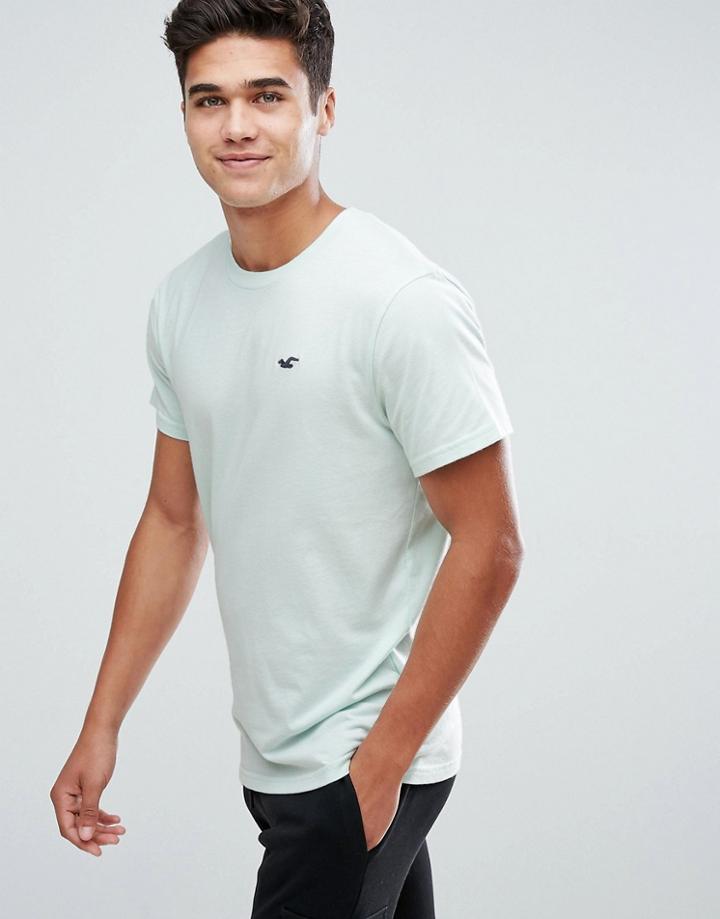 Hollister Crew Neck T-shirt Seagull Logo In Mint Green - Blue