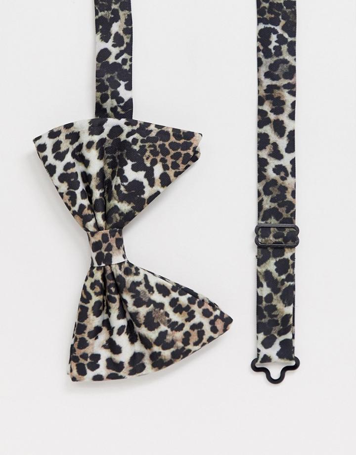 Asos Design Oversized Leopard Bow Tie - Multi