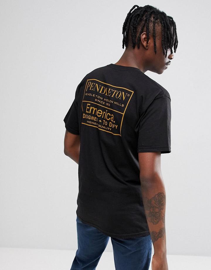 Emerica X Pendleton T-shirt With Back Print - Black