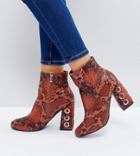 The March Tan Snake Eyelet Detail Heeled Ankle Boots - Tan
