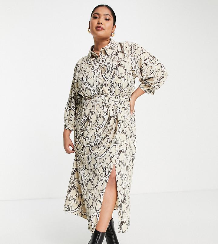River Island Plus Snake Print Belted Midi Shirt Dress In Cream-brown