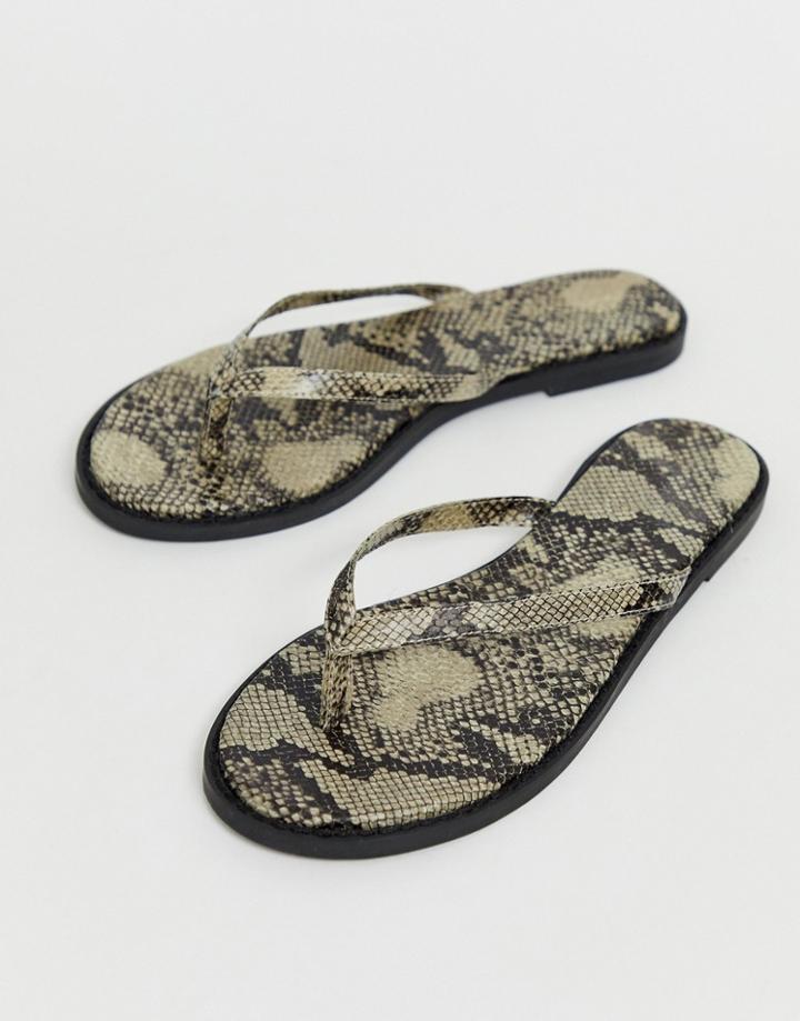 Asos Design Fantom Flip Flops In Snake Print - Beige