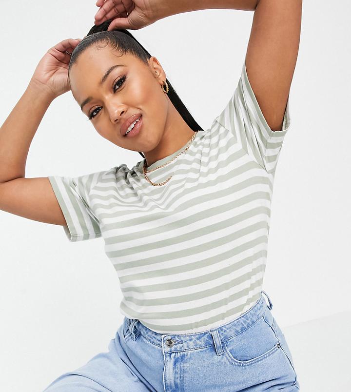 Asos Design Curve Boxy T-shirt In White And Sage Stripe-multi