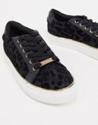 Lipsy Leopard Detail Flatform Sneakers In Black