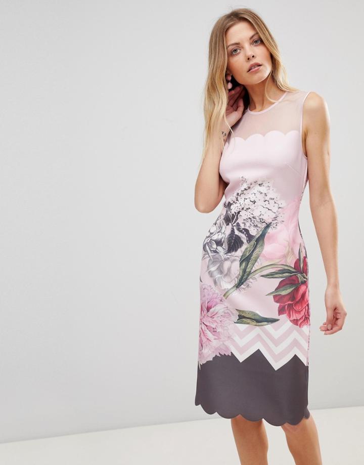 Ted Baker Arionah Scalloped Bodycon Dress - Pink