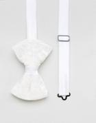 Asos Velvet Bow Tie In White - White