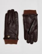 Dents Penrith Leather Gloves In Brown - Brown