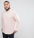 Farah Brewer Slim Fit Shirt Oxford Shirt In Pink - Pink
