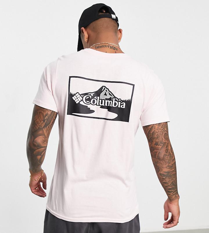 Columbia Rapid Ridge Ii Back Print T-shirt In Pink Exclusive At Asos