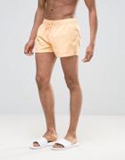Ringspun Short Swim Shorts - Orange