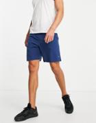 Tommy Hilfiger Performance Shorts With Flag Logo In Blue-navy