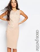 Asos Petite Flower Scuba Midi Pencil Dress - Nude