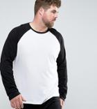 Asos Design Plus Long Sleeve T-shirt With Contrast Raglan - White