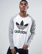 Adidas Originals Longsleeved T-shirt With Trefoil Logo In Gray Bk7628 - Gray