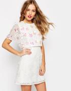 Asos Salon 3d Floral Lace Embroidered Crop Top Mini Dress - White