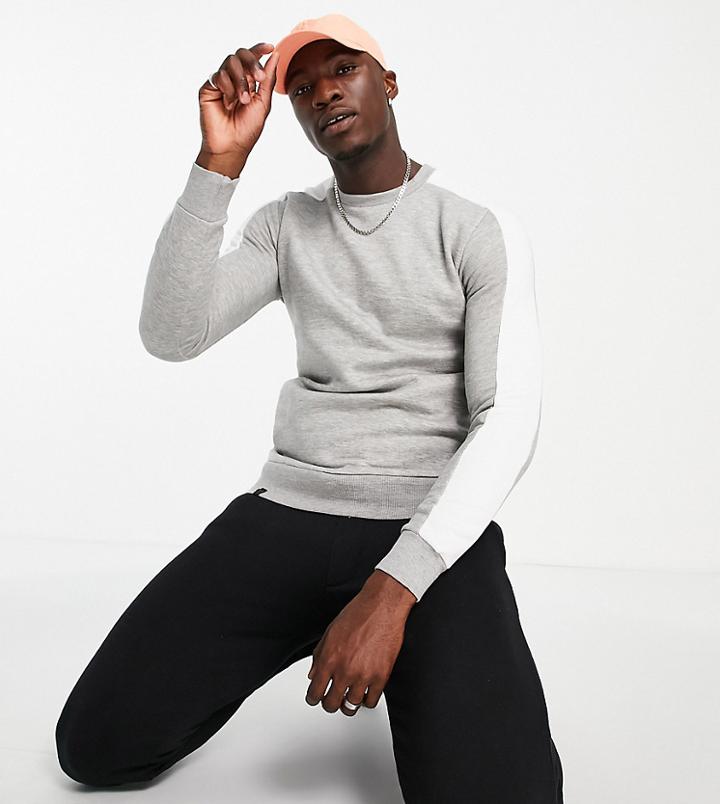 Le Breve Tall Panel Sweatshirt In Light Gray-grey