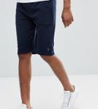 French Connection Tall Jersey Shorts