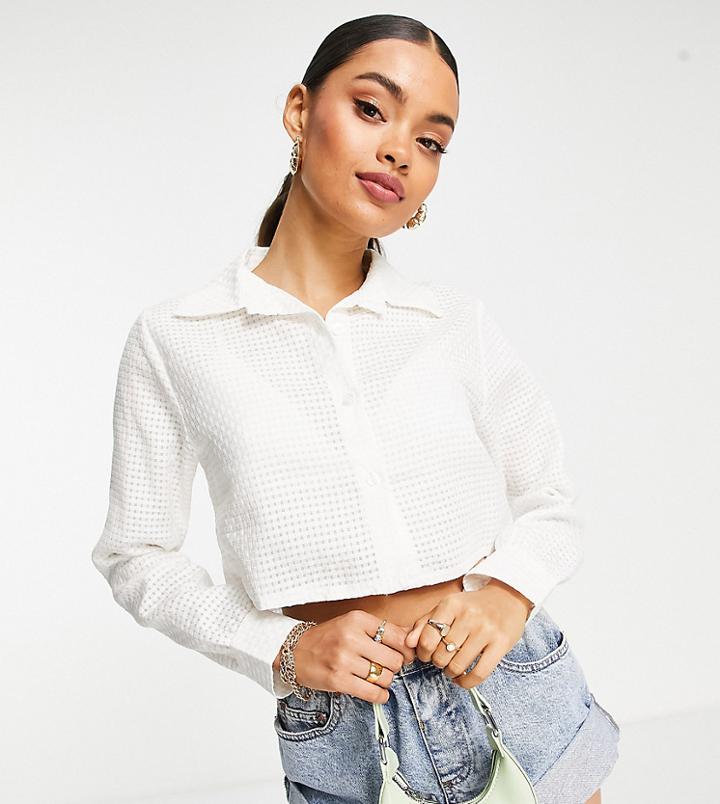 I Saw It First Petite Cropped Textured Shirt In White-green