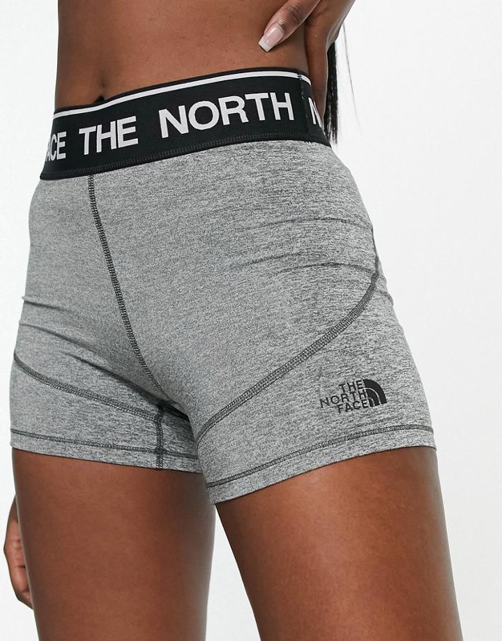 The North Face Training Logo Shorts In Gray