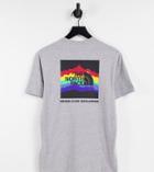The North Face Rainbox T-shirt In Gray Exclusive At Asos-grey